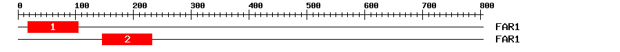 Signature Domain