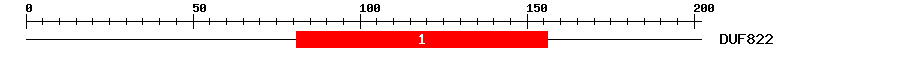 Signature Domain