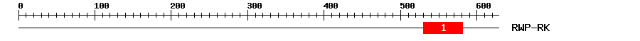Signature Domain