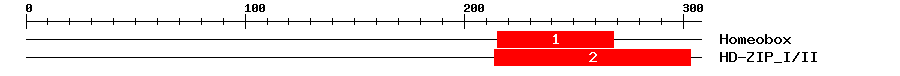Signature Domain
