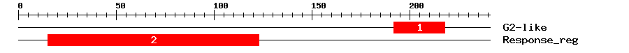 Signature Domain
