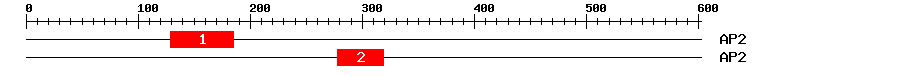 Signature Domain