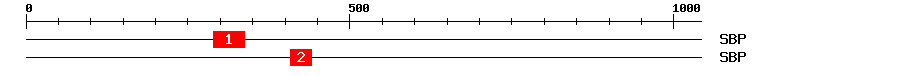Signature Domain