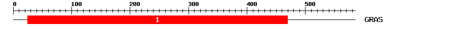 Signature Domain