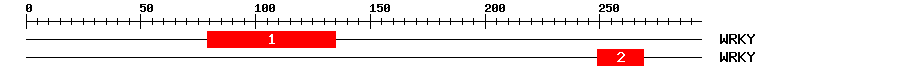 Signature Domain