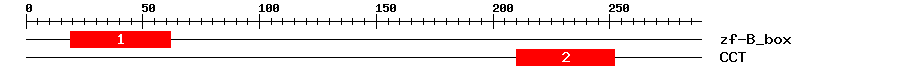 Signature Domain