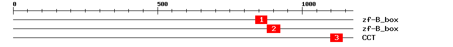 Signature Domain
