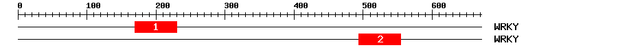 Signature Domain