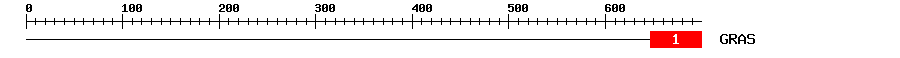 Signature Domain
