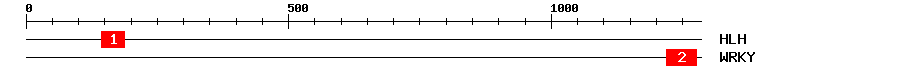 Signature Domain