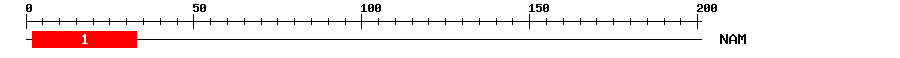 Signature Domain