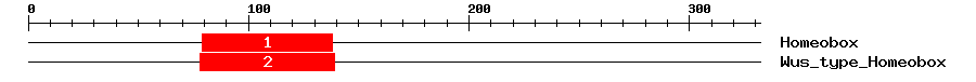 Signature Domain