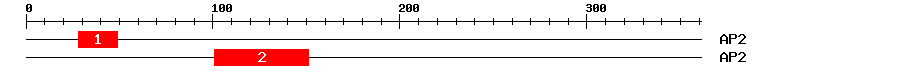 Signature Domain