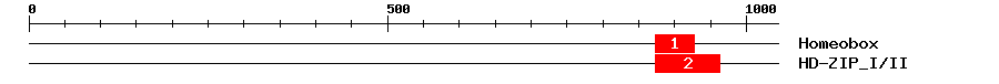 Signature Domain