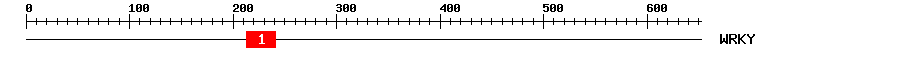 Signature Domain