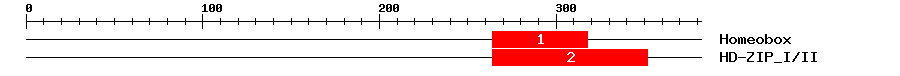 Signature Domain