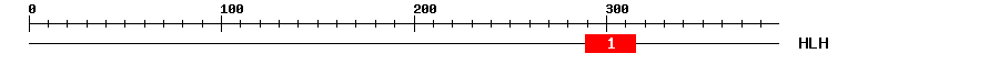 Signature Domain