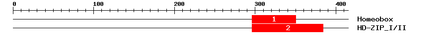 Signature Domain