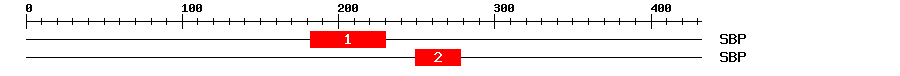 Signature Domain
