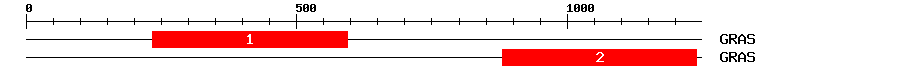 Signature Domain