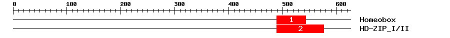 Signature Domain
