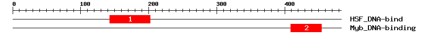 Signature Domain