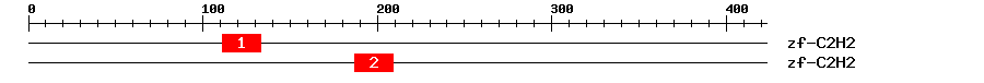Signature Domain
