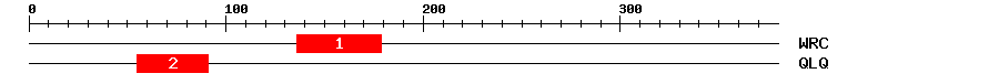 Signature Domain