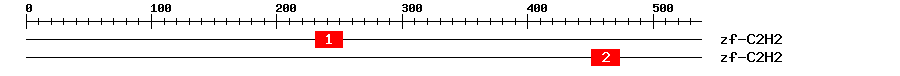 Signature Domain