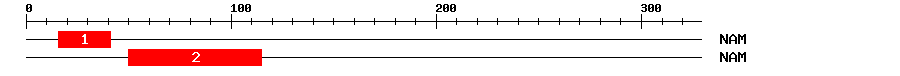 Signature Domain