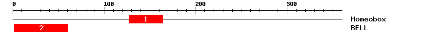 Signature Domain