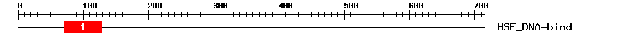 Signature Domain