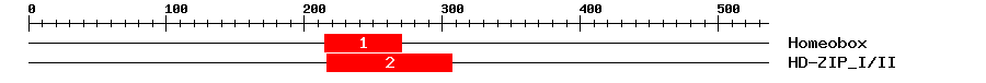Signature Domain