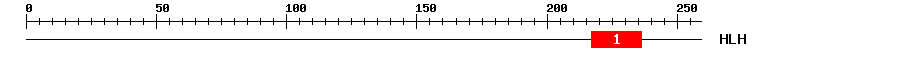 Signature Domain