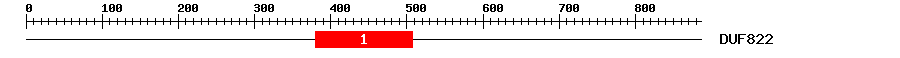 Signature Domain