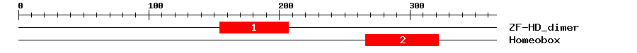Signature Domain