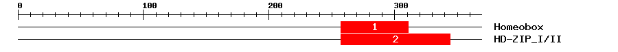 Signature Domain