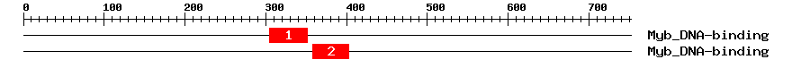 Signature Domain