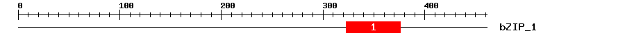 Signature Domain
