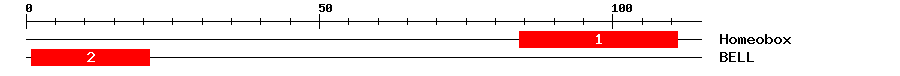 Signature Domain