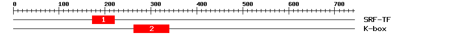 Signature Domain