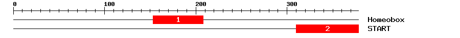 Signature Domain