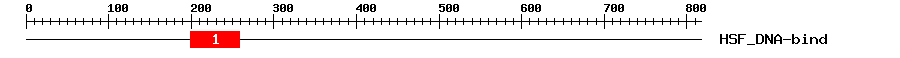 Signature Domain