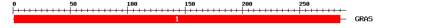 Signature Domain