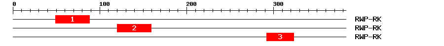 Signature Domain