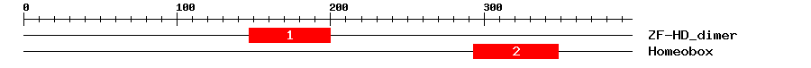 Signature Domain