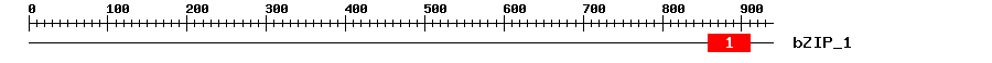 Signature Domain