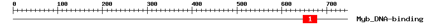 Signature Domain