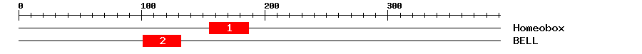 Signature Domain