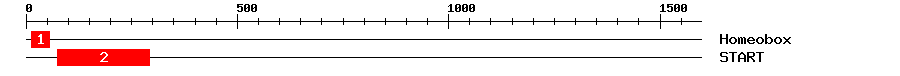 Signature Domain